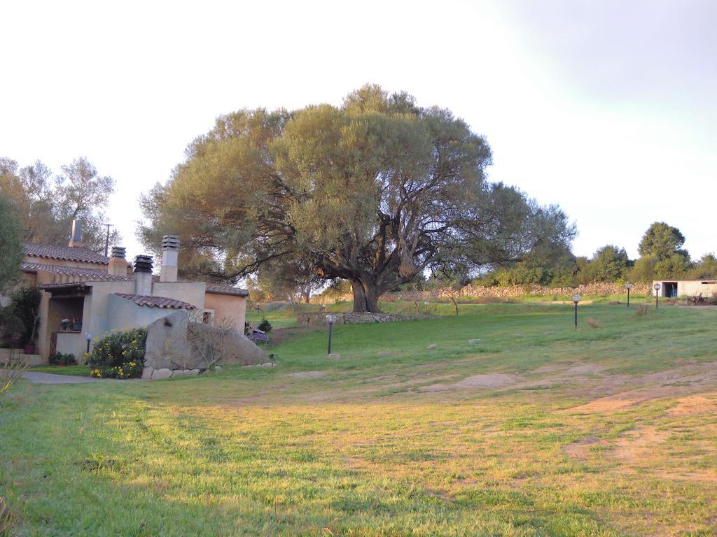 ホテルAgriturismo Candela アルツァケーナ エクステリア 写真